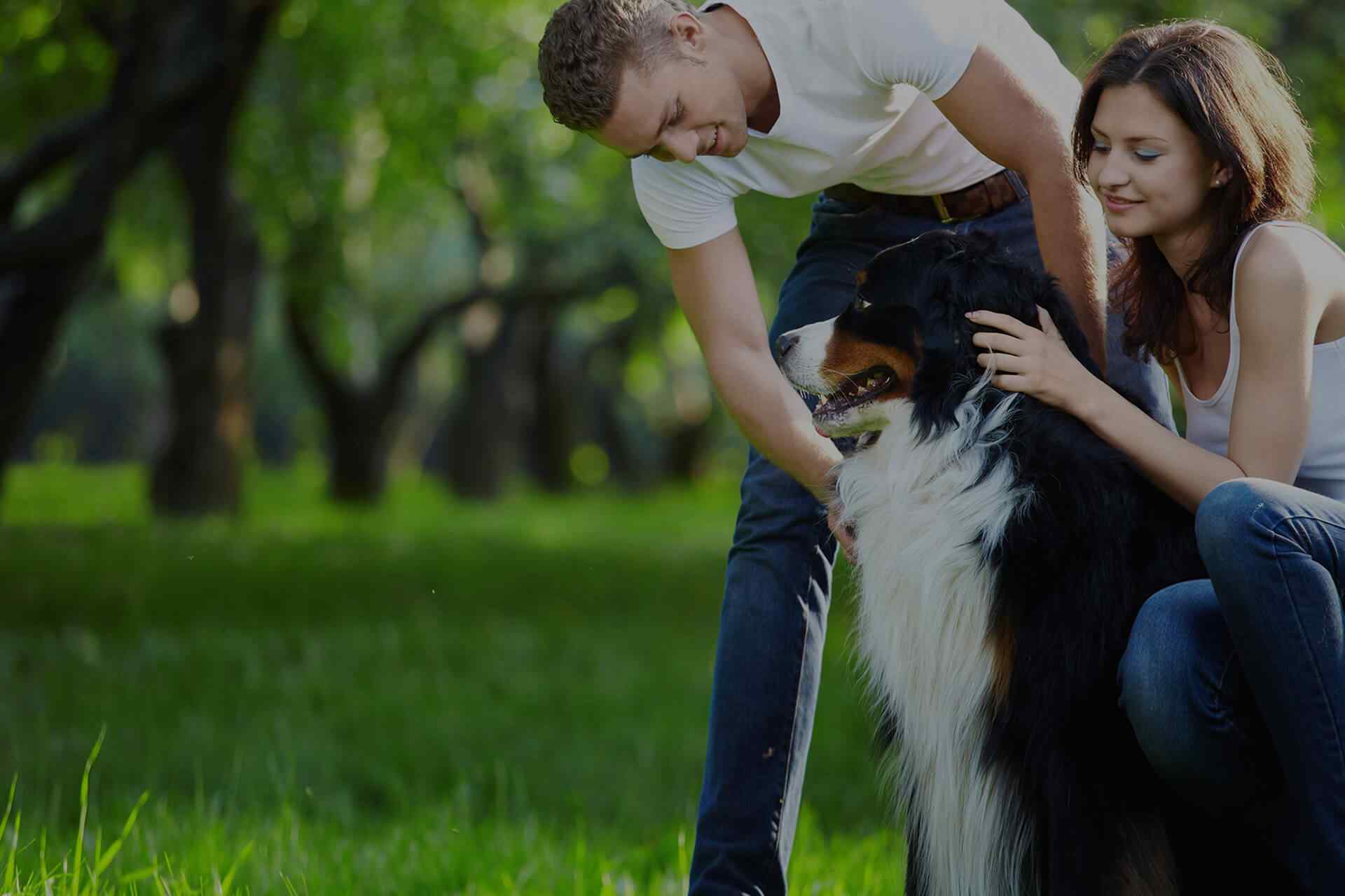 home_hero_03 https://www.tiergesundheit-hembergen.de/wp-content/uploads/2019/07/home_hero_03.jpg