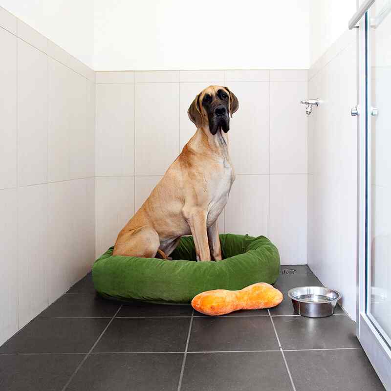 inner_image_04 https://www.tiergesundheit-hembergen.de/wp-content/uploads/2019/07/inner_image_04.jpg