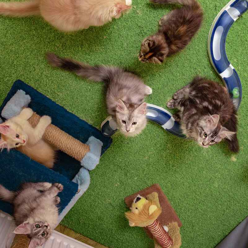 inner_image_05 https://www.tiergesundheit-hembergen.de/wp-content/uploads/2019/07/inner_image_05.jpg