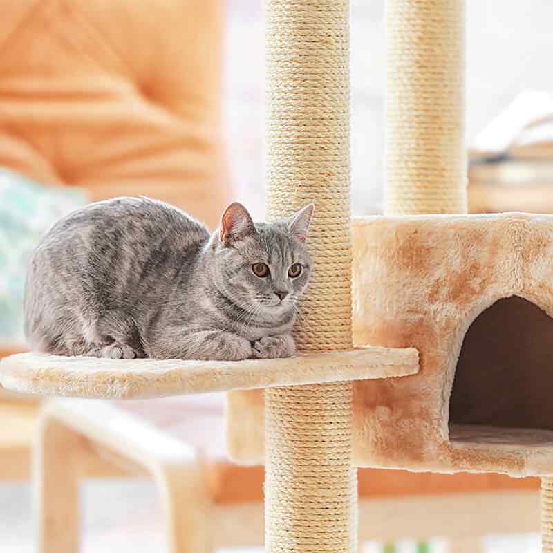 inner_image_09 https://www.tiergesundheit-hembergen.de/wp-content/uploads/2019/08/inner_image_09.jpg